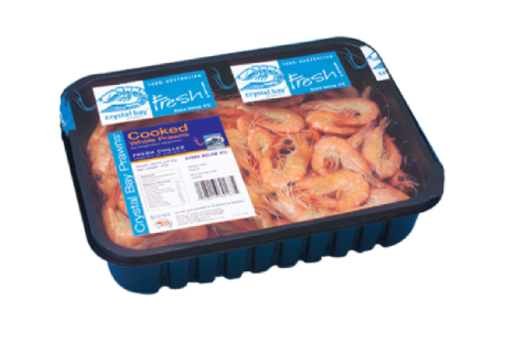 vacuum packaging equipment for food factory