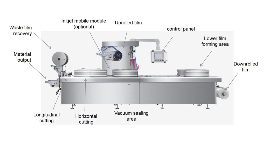 304 stainless steel thermoforming vacuum packaging machine