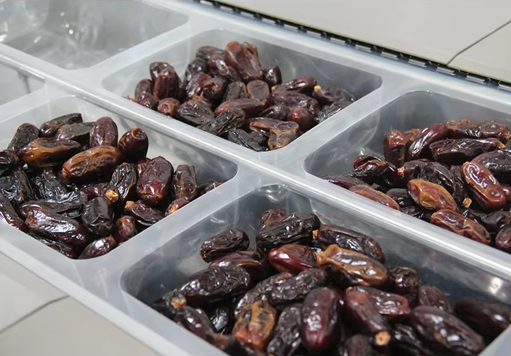 vacuum packaging machine for date