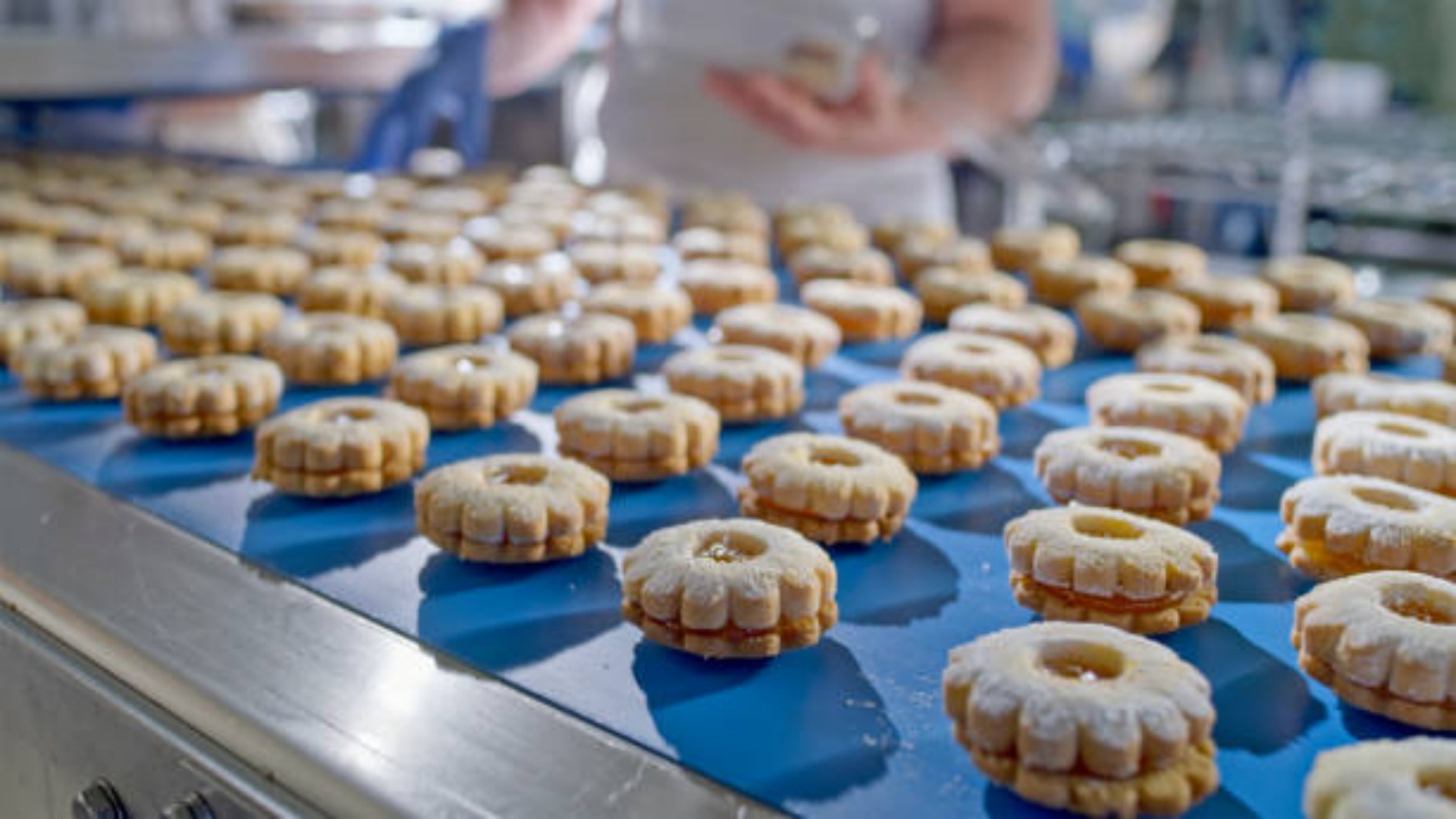 quick mold change thermoforming vacuum packaging machine