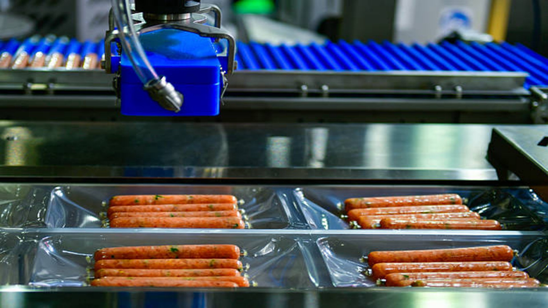 ISO certified thermoforming vacuum packaging machine