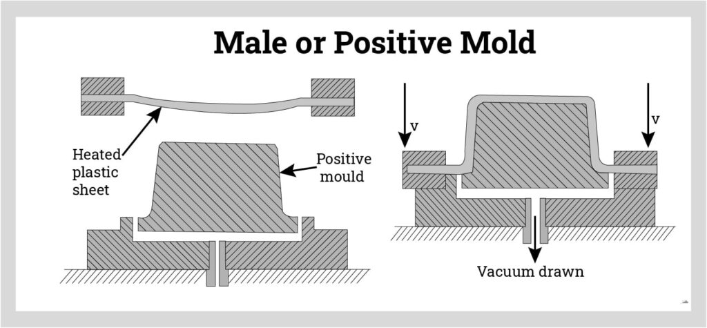 male-or-positive-mold