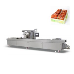 thermoforming vacuum packaging machine for foog