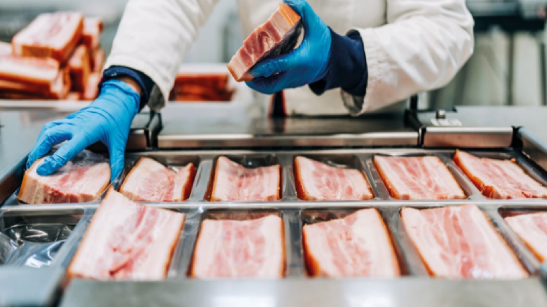 Vacuum Packer for Small Food Factory