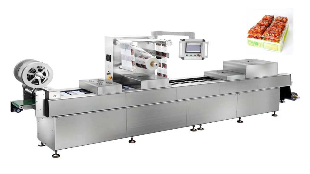 Thermoforming Vacuum Food Packaging Machine for Dates in Saudi Export