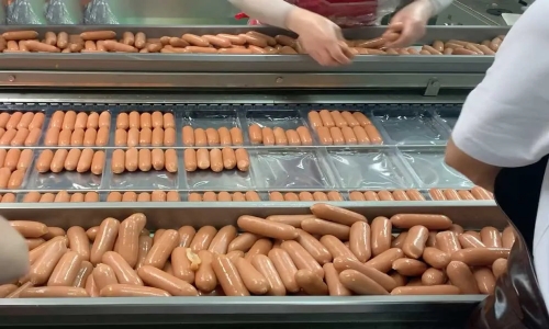 Thermoforming vacuum packaging machine for meat and seafood